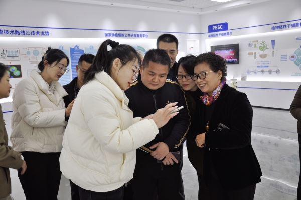 _DSC0045 _DSC0045.jpg