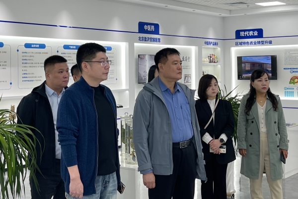 _DSC0081 _DSC0081.jpg