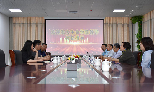 йѧѧԺ ƶappϸｫൺŽʵ