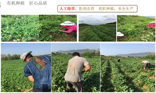 ɽƶappȪũҵƼ޹˾ٻɽʡִũҵƼģ