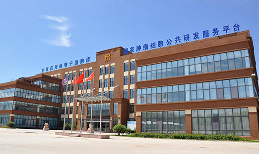 ƶappѶ|ʽҩʳͬԴչǱ