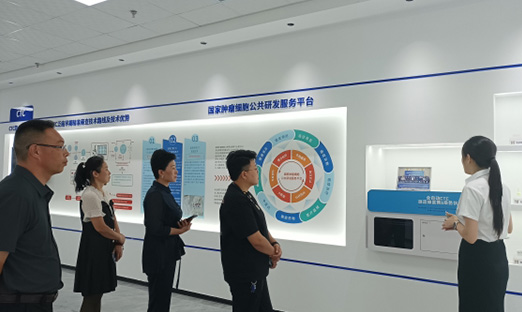 й걣Э볿ȻЯƶappͬı꿵ƪ